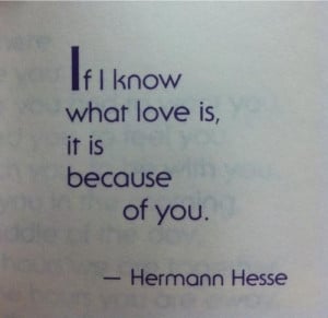 Cute quotes good sayings hermann hesse