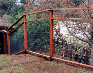 ... fences include duty and responsibility fences limitations race and