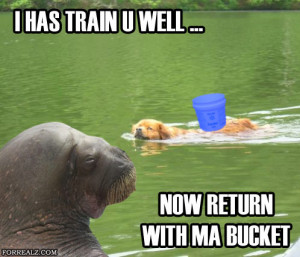 Lol Walrus Bucket