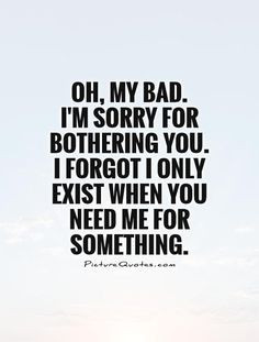 sorry for bothering you. I forgot I only exist when you need me ...