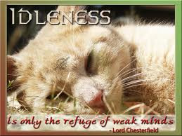Idleness Is Only The Refuge of Weak Minds ~ Leadership Quote