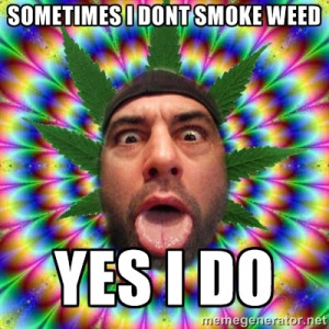 sometimes i dont smoke weed yes i do joe rogan meme generator