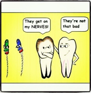 root nerveDental Humor, Dental Hygiene, Roots Nerves, Dentistry Funny ...