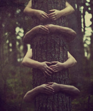 photography tree hippie nature hippy