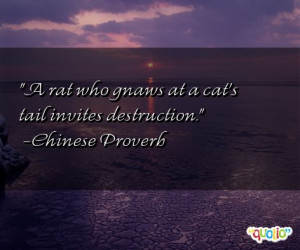 ... Snitch http://www.famousquotesabout.com/quote/A-rat-who-gnaws/82948