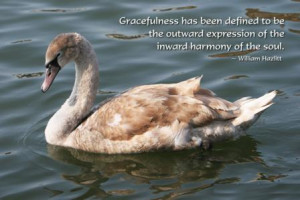 Grace has been defined as the outward expression of the inward harmony ...