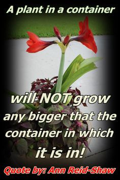 STOP limiting yourself! Begin the Year 2014 by living life without ...