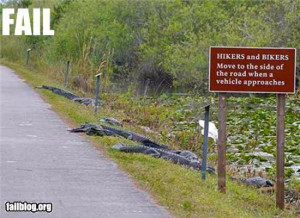 Funny Moving Day Quotes Moving over fail