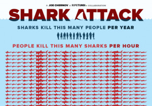 Shark Attack, Infographic Shows the Staggering Number of Sharks Killed ...