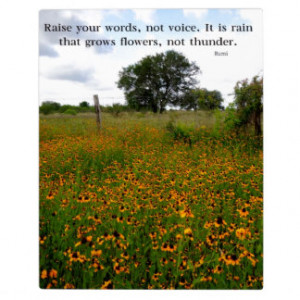 FAMOUS RUMI QUOTE - Raise your words, not voice Photo Plaques