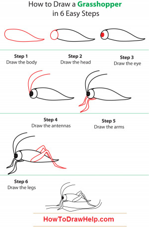 how to draw a grasshopper step by step tutorial