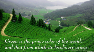 Green is the prime color of the world, and that from which its ...