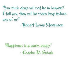 the Robert Louis Stevenson quote (if anyone forgot, he wrote Treasure ...