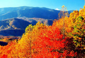 Fall foliage in the Great Smoky Mountains National Park slide show ...