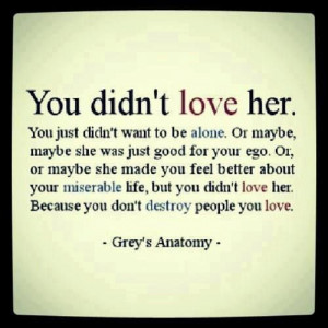 you didn't love her, grey's anatomy quote
