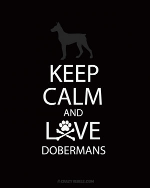 Keep calm and love dobermans