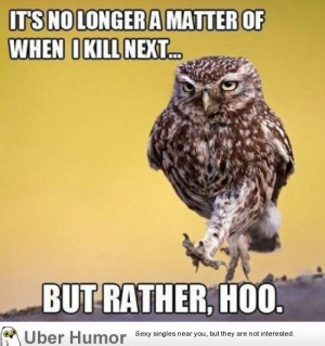 Funny Owl Story Blog...