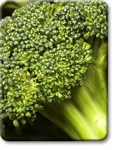 Veggie Bites for Teens: Broccoli