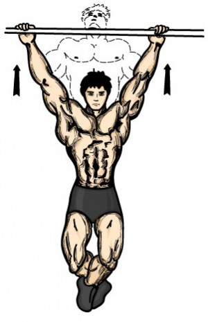 Pull-ups and Chil-ups