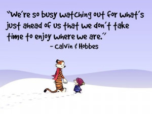 calvin & hobbes, cartoon, quote, text, typography