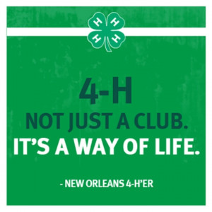 4-H