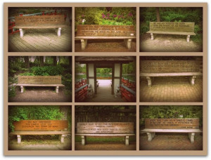 Bench Quotes Art Print or Poster