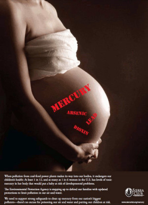 Sufficient Scruples » Blog Archive » Sierra Club: Fetus Toxins