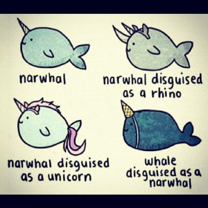 Narwhal disguises. I love narwhals…