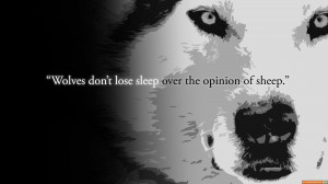 Training Day Quotes Wolf Or Sheep