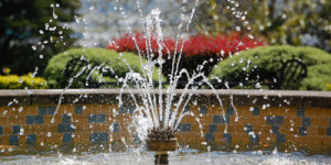 Free Prague Water Feature Quotes