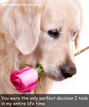 Cute Dog Sayings Quotes
