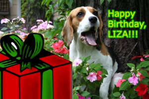 Happy Birthday Liza