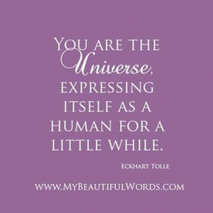 you are the universe