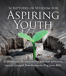 Inspiring Scripture Collections to