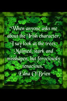 Proud To Be Irish Proud to be irish on pinterest