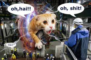 Click on the above picture to see official CERN Management reaction.