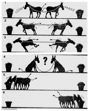 صور الفيس بوك للتعليق على الاحداث