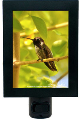 Honor The Present Moment” Hummingbird Night Light