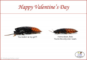 COCKROACHES QUOTES