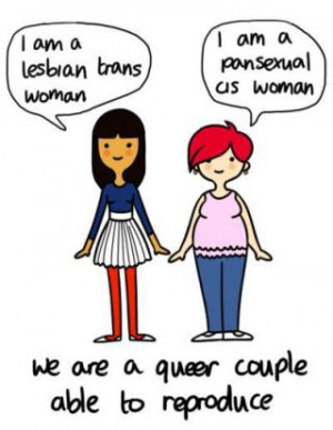 Heterosexual Cisgender Queering of Transgender Sexuality