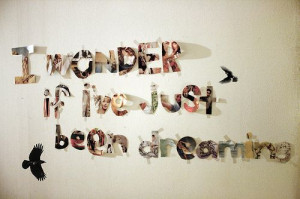 cool, dreaming, life, quotes, text, typography, wall, words
