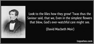 Look to the lilies how they grow! 'Twas thus the Saviour said, that we ...