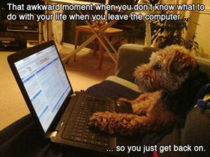 When Awkward situations illustrated with animals picture.