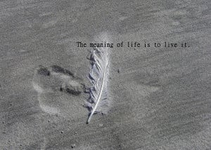 Feather Quotes About Life