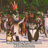 King Julian Quotes Funny