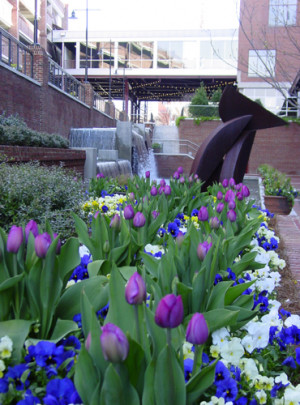 Tobacco Campus, offset by flower beds and pots for visual interest.