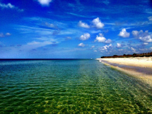 don pedro island florida