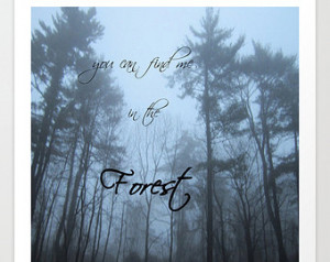 Forest and Fog Giclee Print, winter trees photo, pine trees photo, fog ...