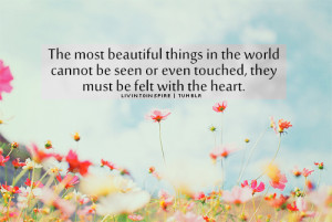 The most beautiful things in the world