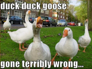 Block Block Goose